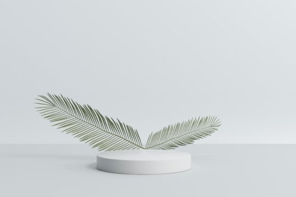 Realistic Podium with Palm Leaves